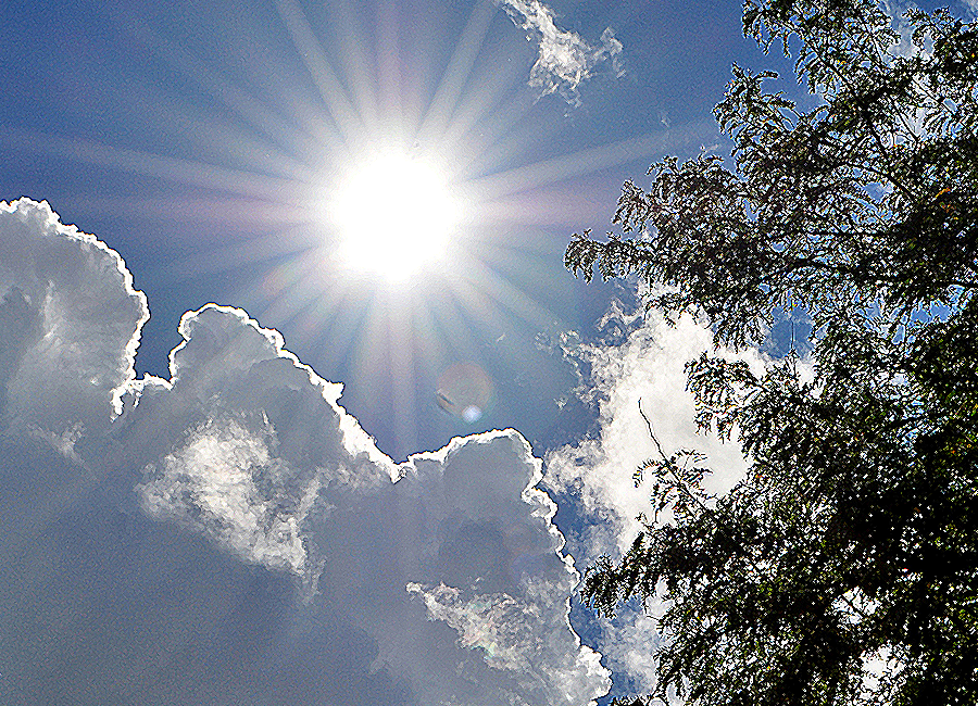 photograph of the sun
